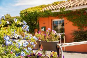 a group of flowers in front of a house at ZEcamping 4 familial piscine chauffée club enfant animations au calme in Canet-en-Roussillon