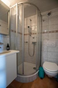 a bathroom with a shower and a toilet at Chalet apartment with Mountain View in Bettmeralp +11 photos