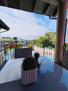 a potted plant sitting on a table on a balcony at Lazise Suite in Lazise