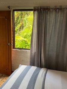 a bedroom with a bed and a window with a view at ecopolis birds lodge in El Queremal