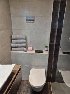 a bathroom with a toilet and a sink and towels at Juan Plage in Juan-les-Pins +25 photos