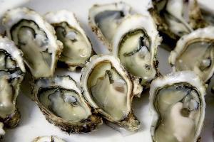 a group of oysters on a white plate at ZEcamping 3 étoiles pet friendly piscine chauffée et piscine couverte in Audierne