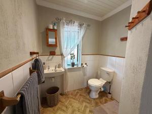 a bathroom with a toilet and a sink at Windkraal Farm Studio in Bonnievale