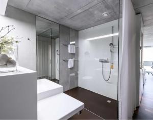 a bathroom with a walk in shower and a sink at HOTEL APART - Welcoming l Urban Feel l Design in Rotkreuz +17 photos