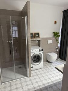 a bathroom with a washing machine and a toilet at Apartment Soukenicka 44 in Český Krumlov +44 photos