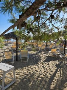 a group of chairs and tables on a beach at Hotel Petit in Silvi Marina