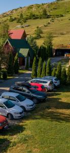 a bunch of cars parked in a parking lot at Holiday Home Vile Calimero in Žabljak