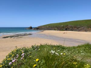 a beach with a bunch of flowers and the ocean at 2 Bed in Wadebridge oc-82681 in Little Petherick