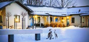 two birds standing in the snow in front of a house at Siedlisko Czapla koło Suntago - 900 m od Suntago in Grabce