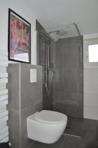 a bathroom with a toilet and a glass shower at Gästehaus Peter in Mettlach +9 photos