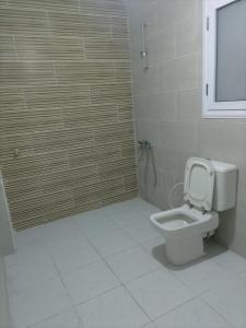 a bathroom with a white toilet and a shower at Nour Tours in Cairo