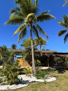 a palm tree in front of a house at Kokar Casa Hotel SANTO ANDRÉ in Santo André