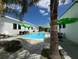 a swimming pool with a palm tree next to a building at Piriápolis Hostel & suites in Piriápolis