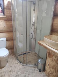 a shower in a bathroom with a toilet and a sink at Rustic House in Predeal +34 photos
