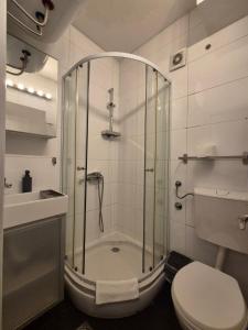 a bathroom with a shower with a toilet and a sink at Apartment Madera in Belgrade +17 photos