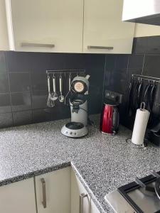 a kitchen counter with a blender on a counter top at 6 - Persons Forest 223 Bungalow in Ewijk
