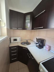 a small kitchen with a sink and a microwave at Apartman Centar LUX in Jagodina