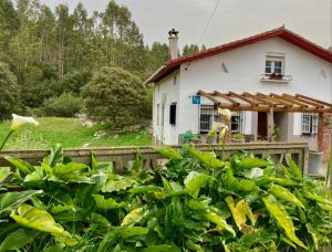 a small white house with a wooden fence at Maria La Franca in La Franca