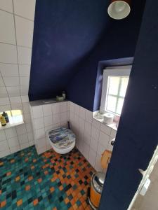 a bathroom with a toilet and a blue wall at Die Sonnenblume in Holtgast