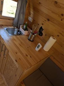 a kitchen counter with a sink in a tiny house at Die Sonnenblume in Holtgast