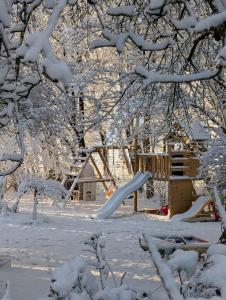 a snow covered tree with a slide in a yard at Die Sonnenblume in Holtgast +9 photos