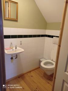 a bathroom with a toilet and a sink at Gîte de la Gagée in Besmont +10 photos