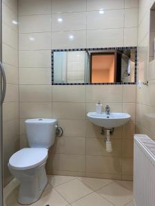 a bathroom with a toilet and a sink at Mirenka in Czerna