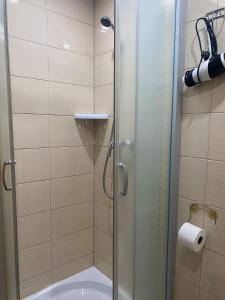 a shower with a glass door in a bathroom at Mirenka in Czerna