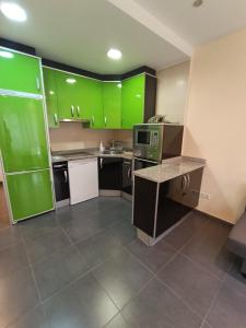 a kitchen with green cabinets and a counter top at Apartamento Haro Wine Experience in Haro +6 photos