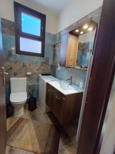 a bathroom with a toilet and a sink and a window at Νύμφη Ηχώ, Θέα στα βουνά κάτω από το Ρολόι in Dimitsana +6 photos