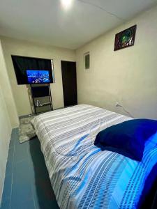 a bedroom with a bed and a flat screen tv at Cómodo departamento en zona céntrica de Puebla in San Baltasar