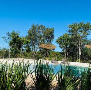 a swimming pool with an umbrella and some plants at Pousada Vereda Encantada in São Félix do Tocantins +2 photos