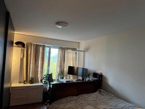 a bedroom with a bed and a television and a window at Zürich 8008 Appartement in Zurich