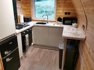 a kitchen with a sink and a stove at Thelmas Lodge in Llanelli