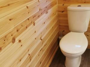 a toilet in a bathroom with wooden walls at Thelmas Lodge in Llanelli