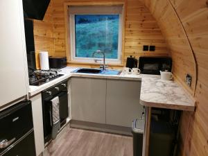 a kitchen in a tiny house with a sink at Lodge 2 in Llanelli
