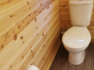 a bathroom with a toilet in a wooden wall at Lodge 2 in Llanelli +4 photos