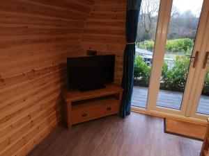 a living room with a tv on a wooden wall at Lodge 3 in Llanelli