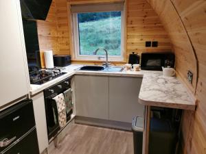 a kitchen with a sink and a stove at Lodge 3 in Llanelli