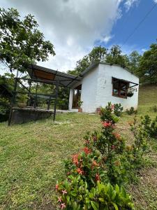 a small white house in a yard with a bush at Cabañas San Jose in Doradal