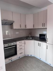 a kitchen with white cabinets and a sink at Apartment Krajinka in Cheb +2 photos