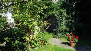 A garden outside Hotel Kuiperduin