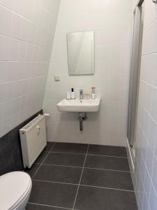 a bathroom with a sink and a toilet at SchaeBu! 7 Apartment Work and Travel am Altmarkt in Cottbus