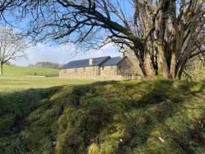 a house in the middle of a field with a tree at 2 Bed in Builth Wells oc-bow198 in Builth Wells
