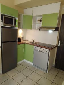 a kitchen with green cabinets and a sink and a refrigerator at RESIDENCE du NEPTUNE in Saint-Cyprien-Plage