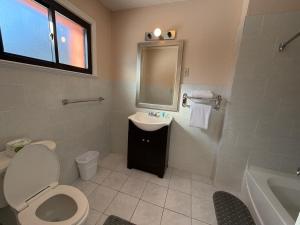 a bathroom with a toilet and a sink and a mirror at Skyline Inn in Mount Pocono
