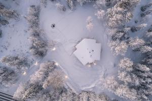 an aerial view of a snow covered forest with trees at Villa Vaellus in Ruka