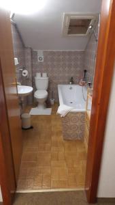 a bathroom with a toilet and a tub and a sink at Haus Waldfrieden in Sautens +5 photos