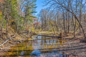a stream in the woods with a fallen tree in the water at Cabin at Sleepy Creek - Creek Access, Wifi, Pet Friendly, Fire Pit, Charcoal Grill, Screen Porch, Wood Stove, Deck, Family Friendly in Berkeley Springs
