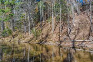 a river in a wooded area with reflections in the water at Cabin at Sleepy Creek - Creek Access, Wifi, Pet Friendly, Fire Pit, Charcoal Grill, Screen Porch, Wood Stove, Deck, Family Friendly in Berkeley Springs